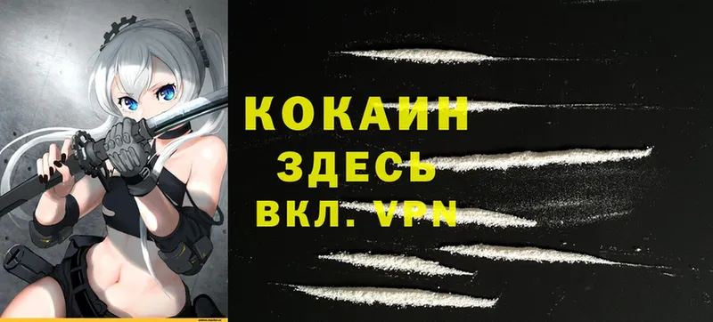 Cocaine Эквадор  Павловский Посад 